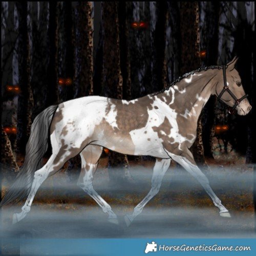 Horse Color:White Spotted Bay Dun Tobiano Appaloosa Rabicano 