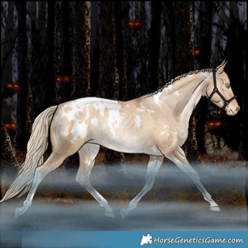 Horse Color:White Spotted Liver Red Dun Snowdrop Pearl Tobiano Appaloosa Rabicano 