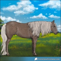 Horse Color:Silver Black 