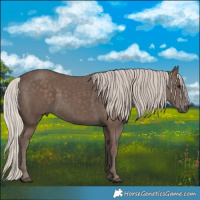 Horse Color:Silver Black