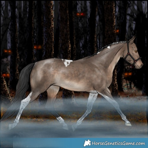 Horse Color:Brown Dun Tobiano Rabicano 