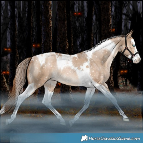 Horse Color:Bay Pearl Dun Splash Tobiano Appaloosa Rabicano 
