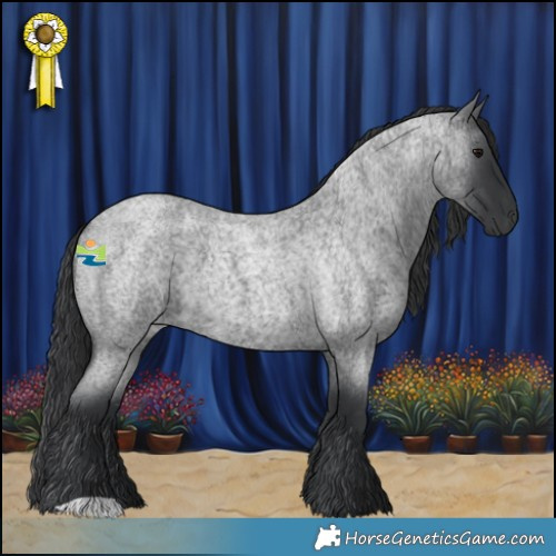 Horse Color:Blue Roan
