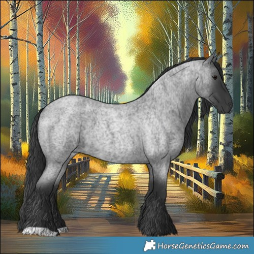 Horse Color:Blue Roan 