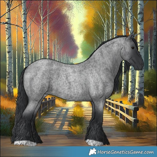 Horse Color:Blue Roan 
