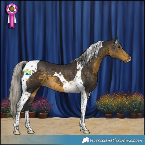Horse Color:Silver Buckskin Tobiano