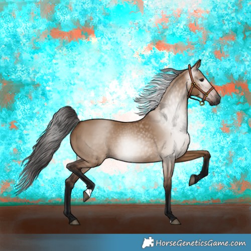 Horse Color:Gray Bay Dun Rabicano 