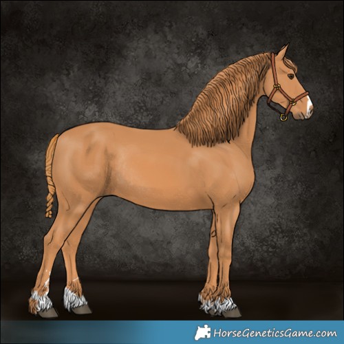 Horse Color:Chestnut Rabicano 