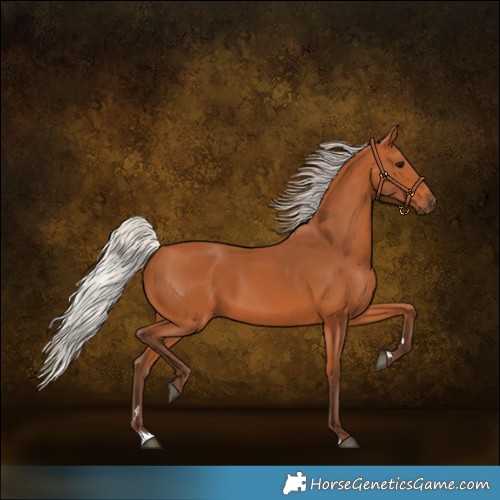 Horse Color:Silver Bay 
