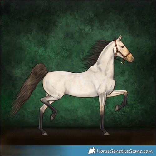 Horse Color:Buckskin Roan Dun 