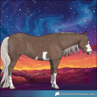 Horse Color:Silver Black