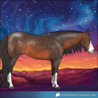 Horse Color:Brown 