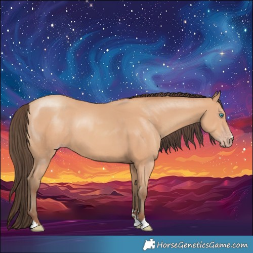 Horse Color:Amber Champagne
