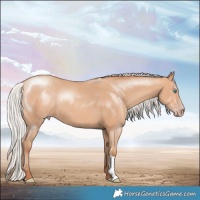 Horse Color:Silver Amber Champagne