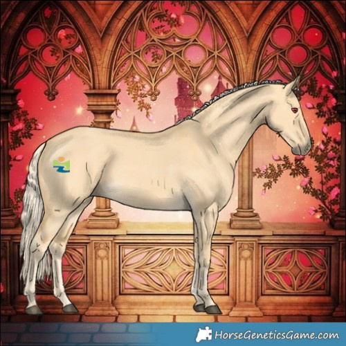Horse Color:Palomino Dun 