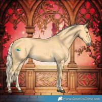 Horse Color:Palomino Dun