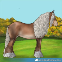 Horse Color:Gray Liver Chestnut Pearl Mushroom