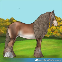 Horse Color:Gray Liver Chestnut Pearl Mushroom 