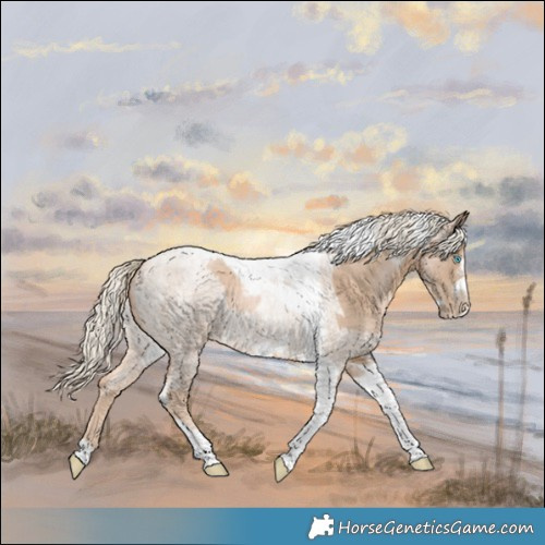 Horse Color:Chocolate Palomino Pearl Tobiano Frame  and Chocolate Palomino Roan Pearl Tobiano Frame 