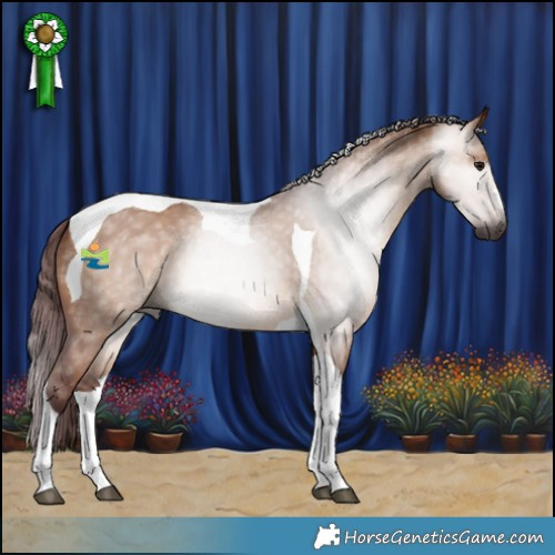 Horse Color:Gray Chocolate Bay Dun Tobiano