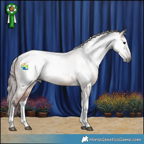 Horse Color:Gray Chocolate Bay Dun Tobiano 