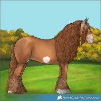 Horse Color:Gray Gold Champagne Frame 