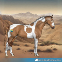 Horse Color:Gray Red Dun Tobiano 