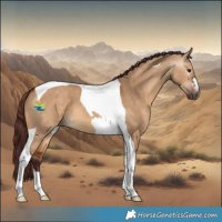 Horse Color:Gray Chocolate Bay Dun Tobiano 
