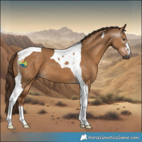 Horse Color:Gray Red Dun Tobiano 