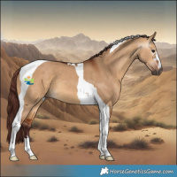 Horse Color:Gray Chocolate Bay Dun Tobiano 