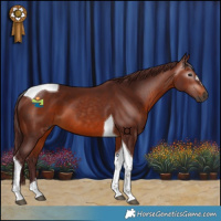 Horse Color:Gray Chocolate Bay Tobiano 