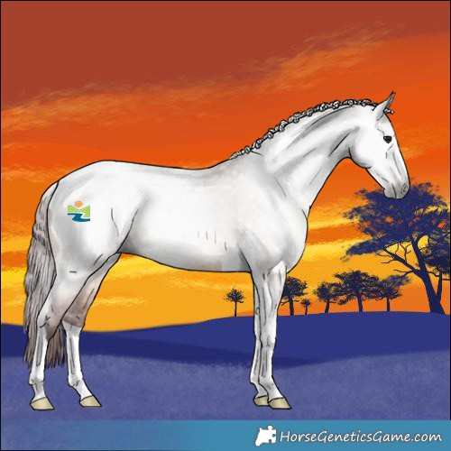 Horse Color:Gray Chocolate Bay Dun Tobiano 