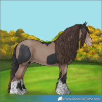 Horse Color:Black and Classic Champagne