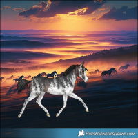 Horse Color:White Spotted Brown Rabicano 