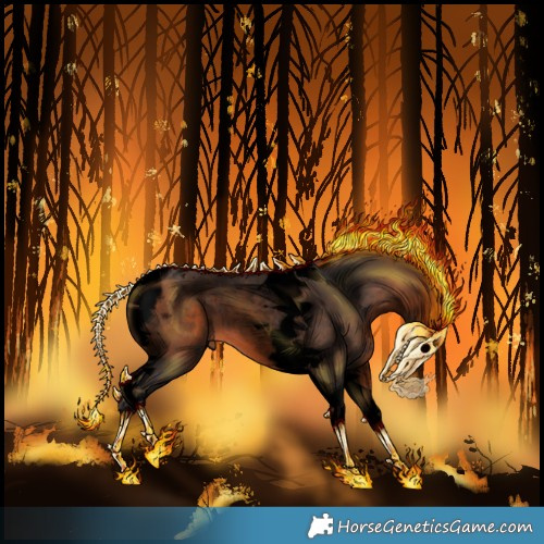 Horse Color:Void Bay Tobiano 