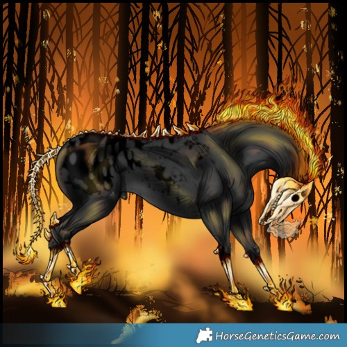 Horse Color:Void Black Tobiano Appaloosa 