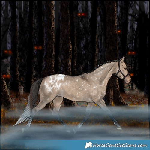 Horse Color:Bay Dun Tobiano Appaloosa Rabicano 
