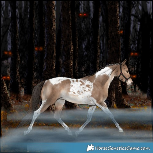 Horse Color:Liver Red Dun Tobiano Rabicano 