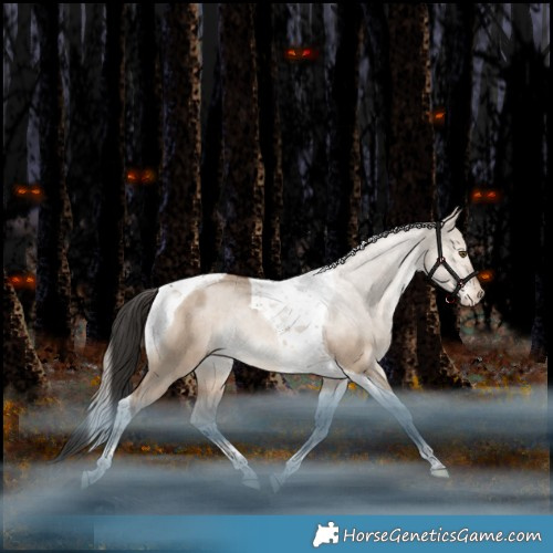 Horse Color:Liver Red Dun Tobiano Appaloosa Rabicano 