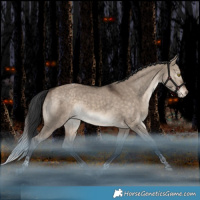 Horse Color:Bay Dun Tobiano Varnish Rabicano