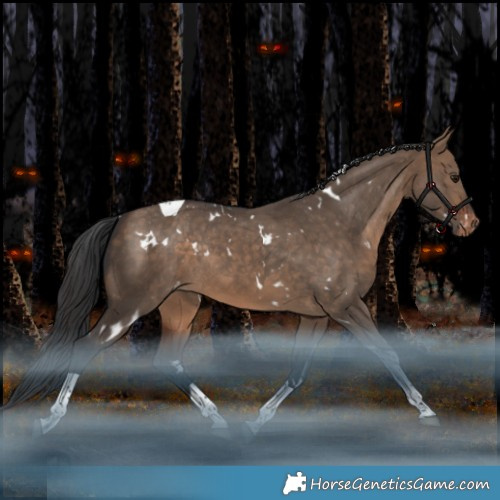 Horse Color:White Spotted Bay Dun Tobiano Appaloosa Rabicano