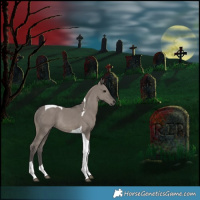 Horse Color:Grullo Tobiano Rabicano 