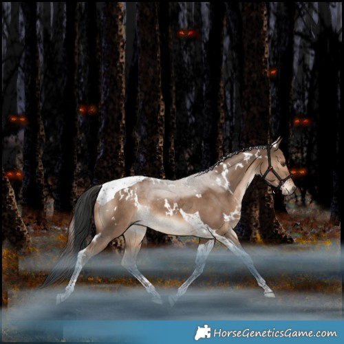 Horse Color:White Spotted Liver Red Dun Tobiano Rabicano 