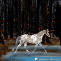Horse Color:White Spotted Bay Dun Tobiano Blanket Rabicano