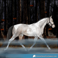 Horse Color:Bay Dun Tobiano Varnish Rabicano 