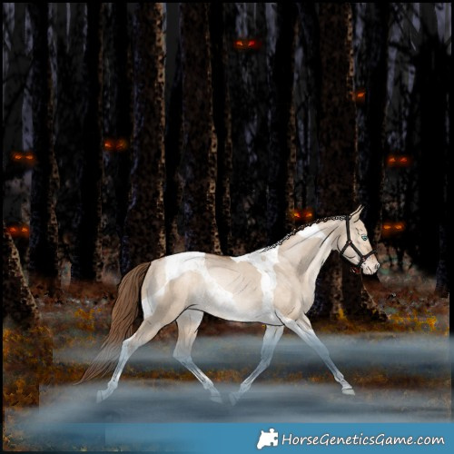 Horse Color:Bay Pearl Dun Tobiano Appaloosa Rabicano 