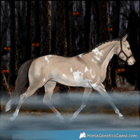 Horse Color:White Spotted Liver Red Dun Tobiano Varnish Rabicano 