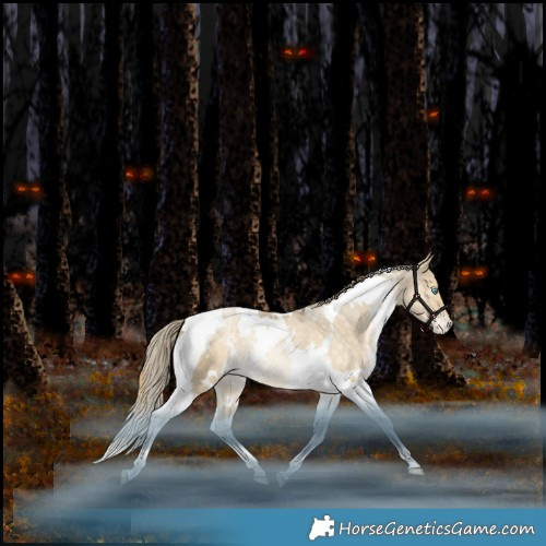 Horse Color:White Spotted Bay Snowdrop Pearl Dun Tobiano Appaloosa Rabicano 