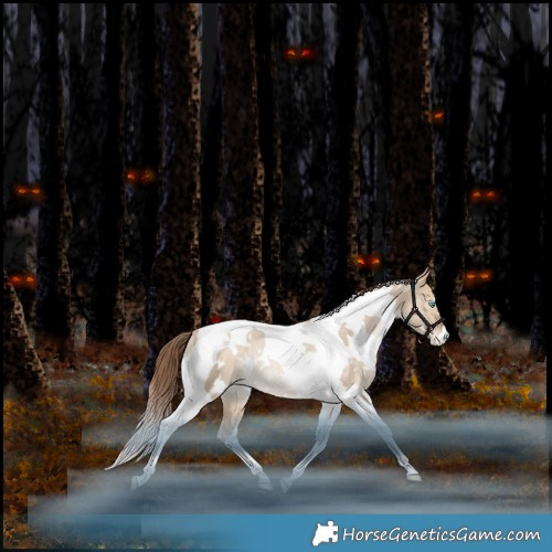 Horse Color:White Spotted Bay Pearl Dun Tobiano Appaloosa Rabicano 