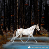 Horse Color:White Spotted Bay Pearl Dun Tobiano Appaloosa Rabicano